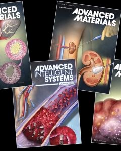 Journal cover illustrations.